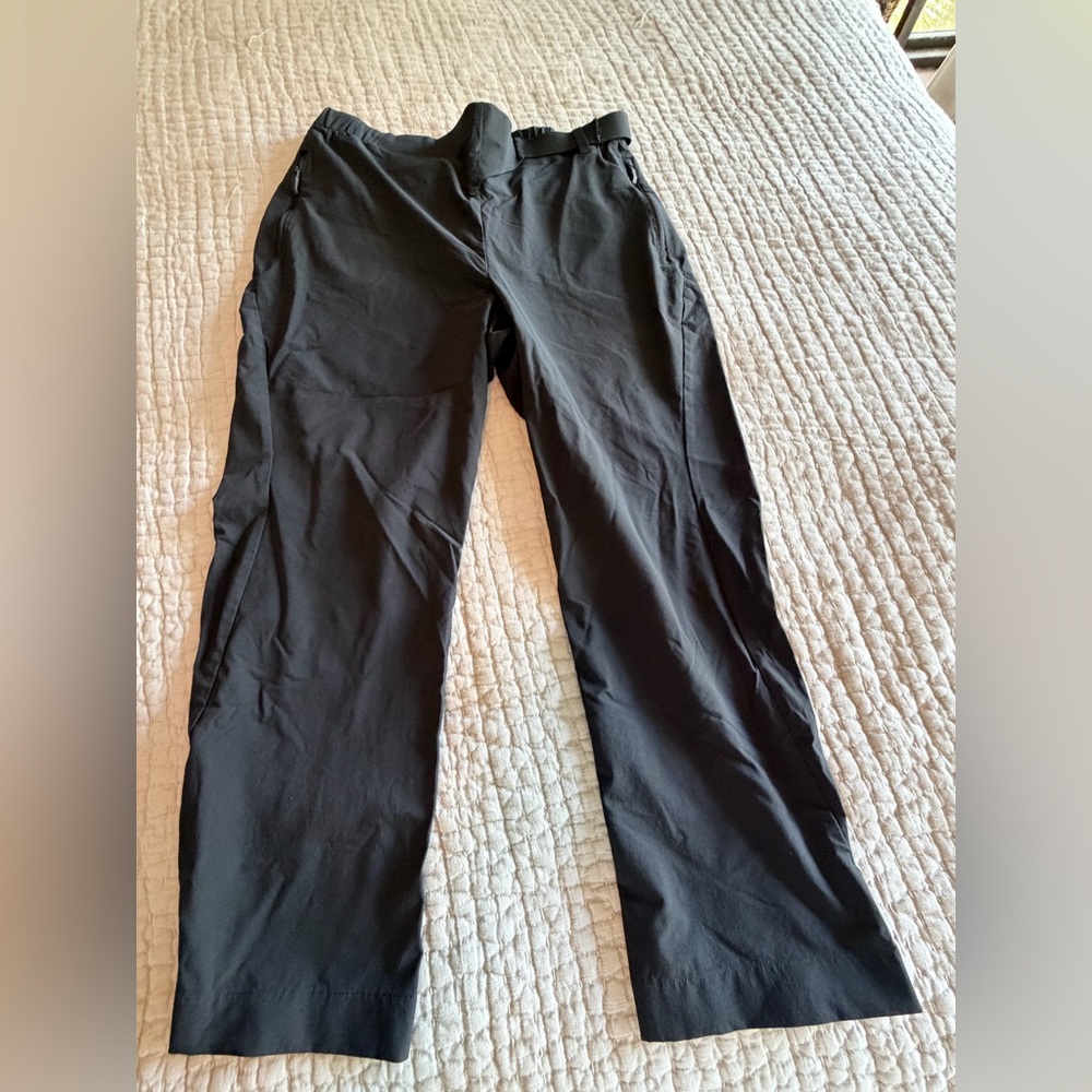 Adidas Terrex pants black L